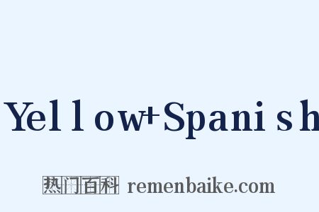 Yellow+Spanish是什么意思的图片